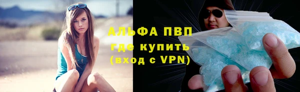 гашик Няндома