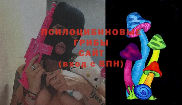 ГАЛЛЮЦИНОГЕННЫЕ ГРИБЫ Гусиноозёрск