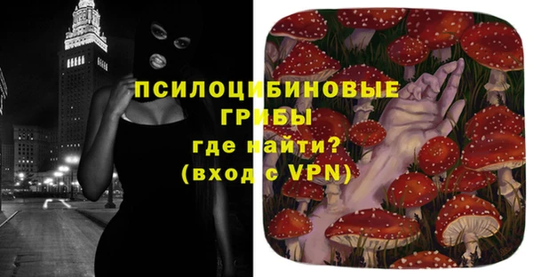 кокс Гусь-Хрустальный