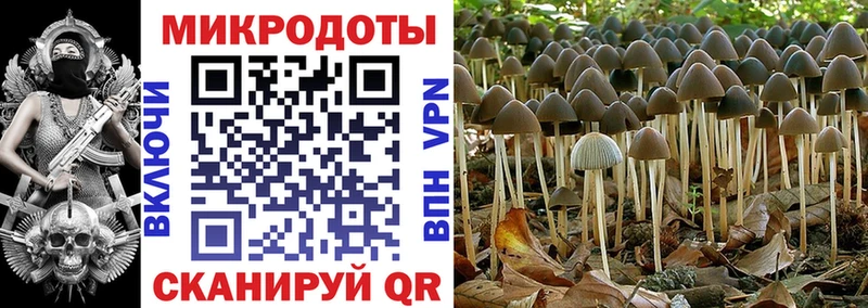 Псилоцибиновые грибы GOLDEN TEACHER  сколько стоит  Гусев 