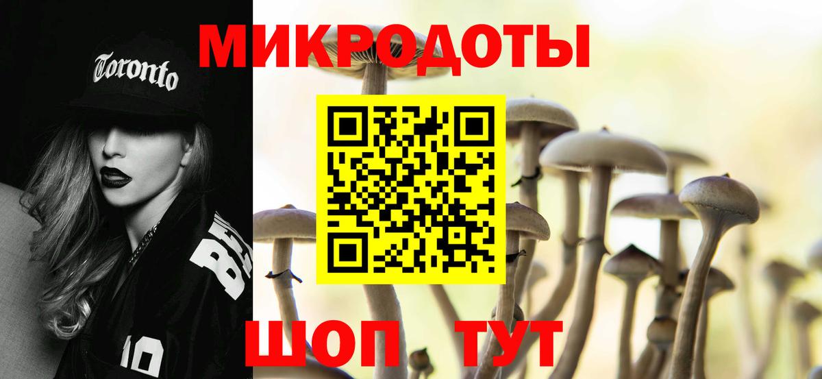 Гусев  Псилоцибиновые грибы MAGIC MUSHROOMS  как найти наркотики  Вход с VPN 